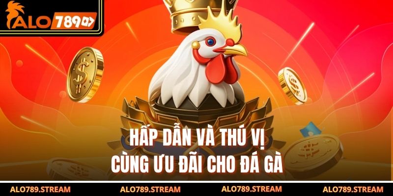 Hấp dẫn và thú vị cùng ưu đãi cho đá gà