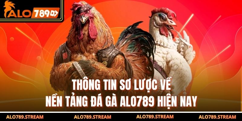Thông tin sơ lược về nền tảng đá gà alo789 hiện nay